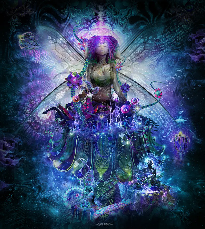 Meta Morph