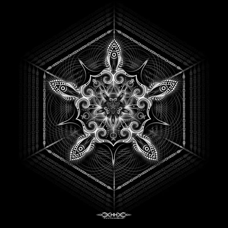 Unfolding the Tesseract
