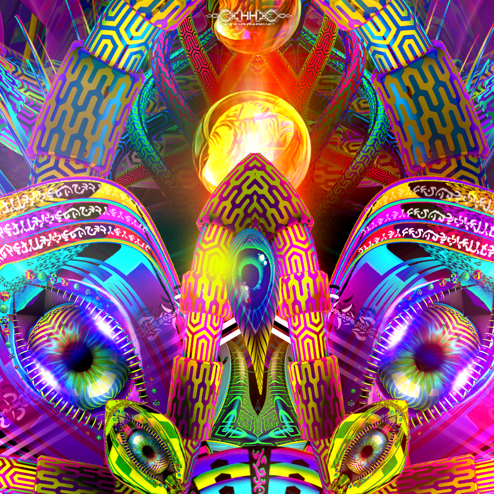 Asteroidea Venusia detail 3