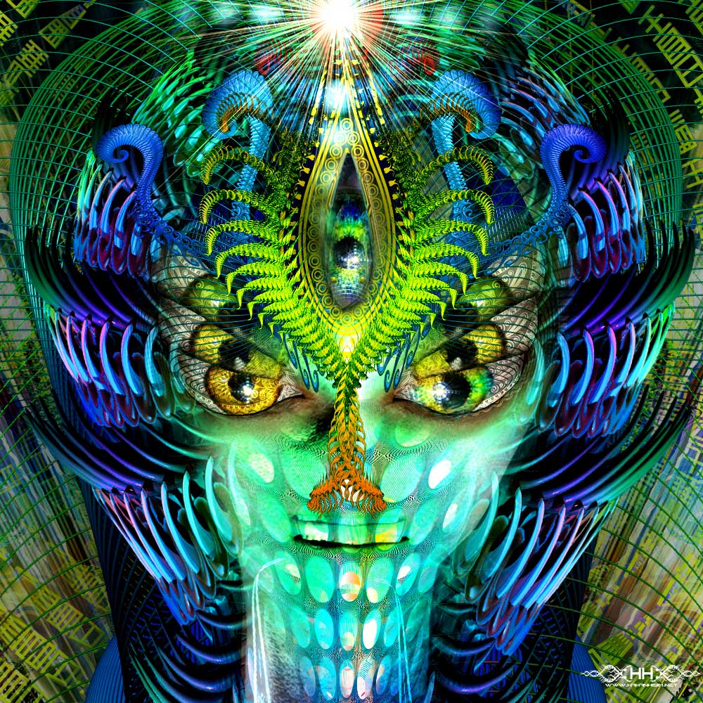 Contact detail 1