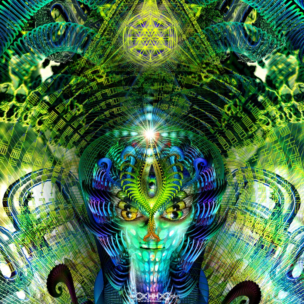 Contact detail 4