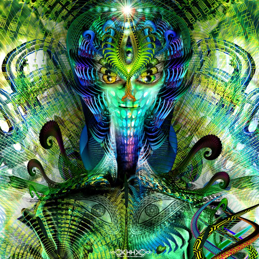 Contact detail 5