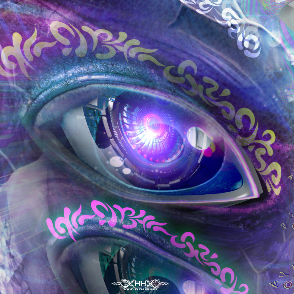 Internal Awareness detail 1