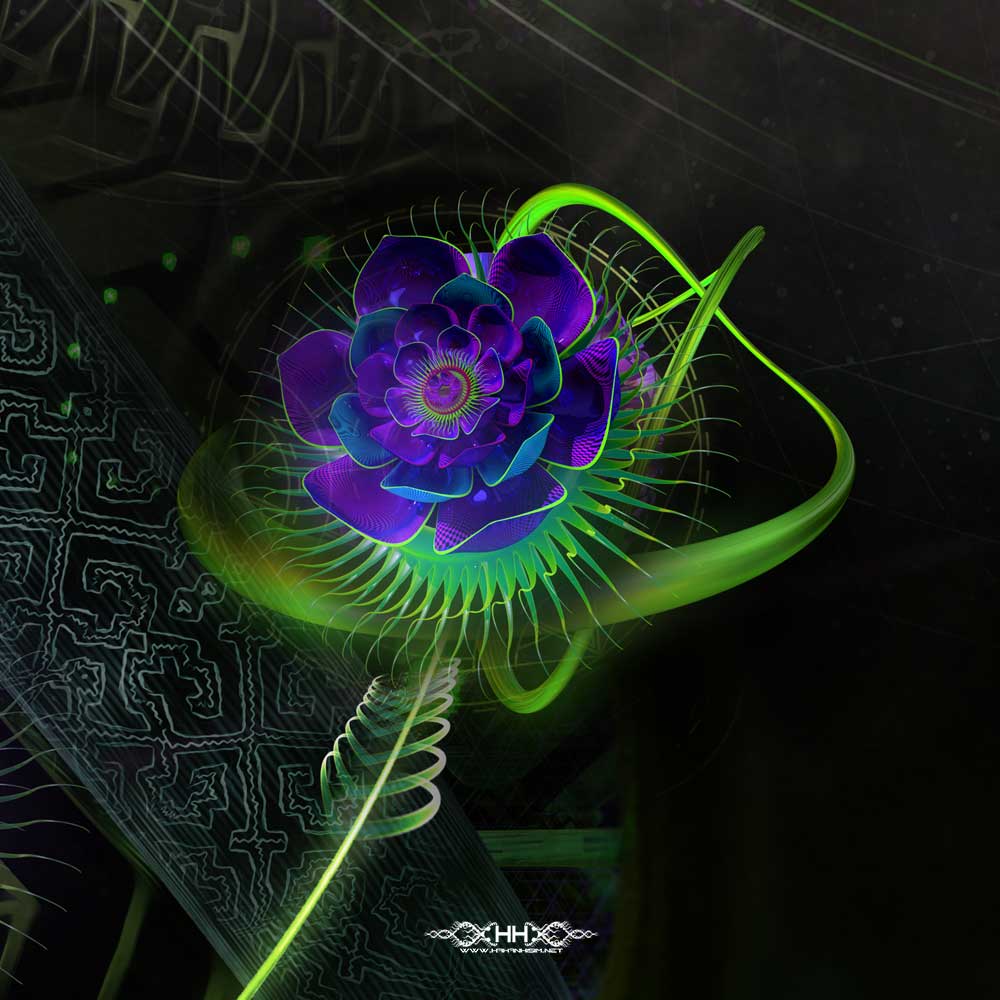 Inward Convergence detail 11