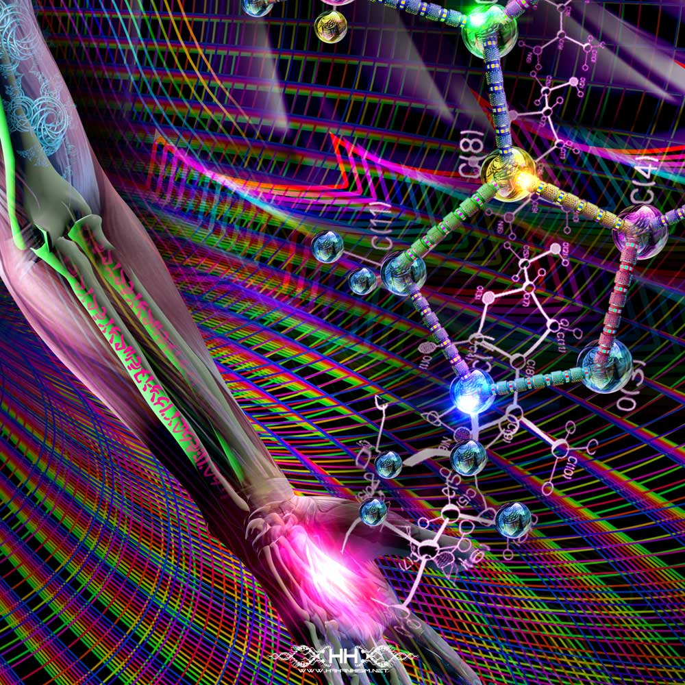 Rise detail 12