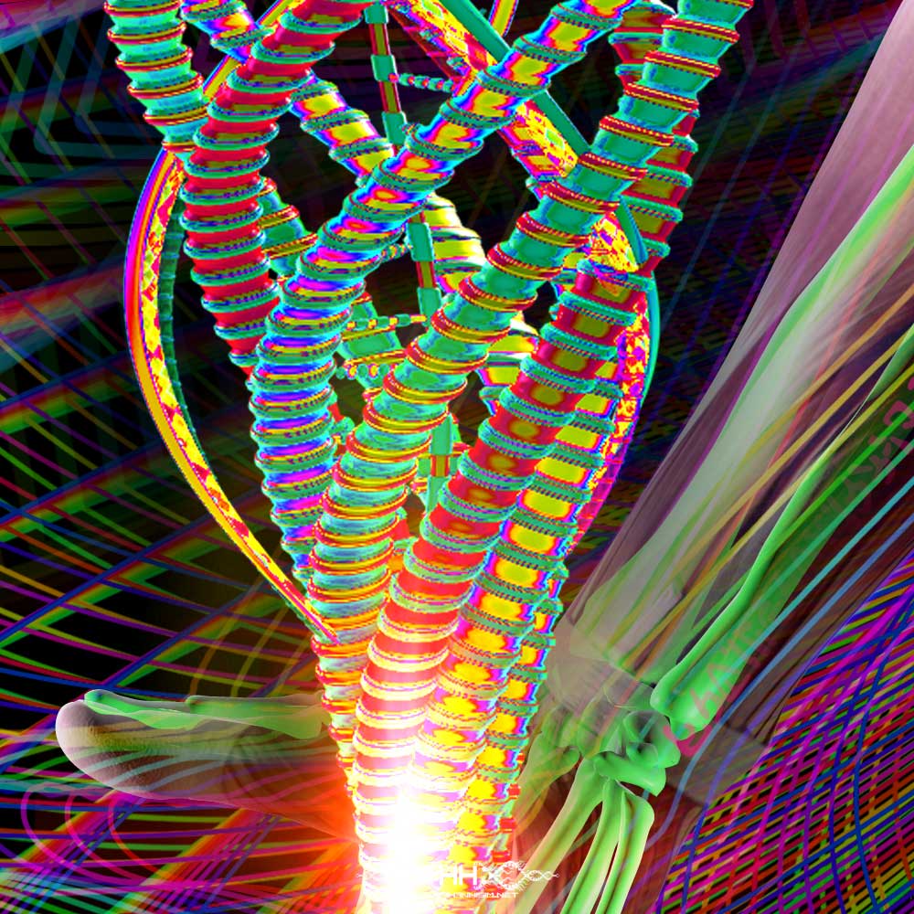 Rise detail 8