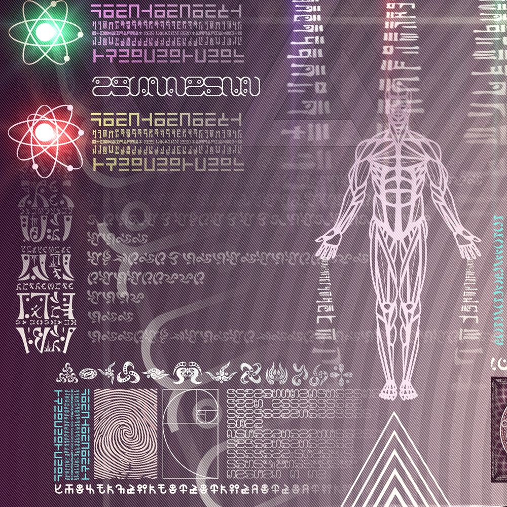 Reversible Ratio detail 9