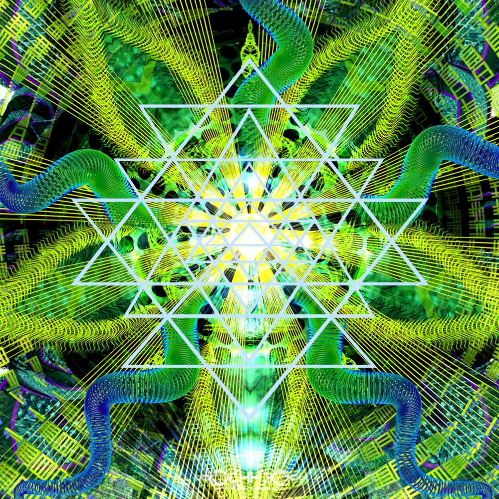 Crysthanamum Unfolding detail 1